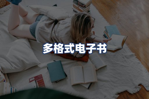 多格式电子书